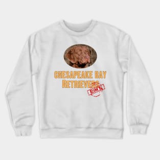 Chesapeake Bay Retrievers Rock! Crewneck Sweatshirt